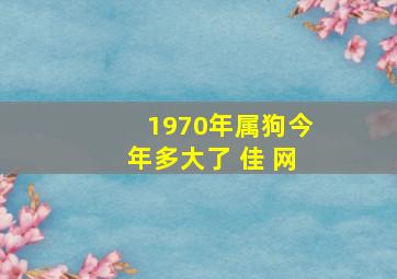 1970年属狗今年多大了 佳 网